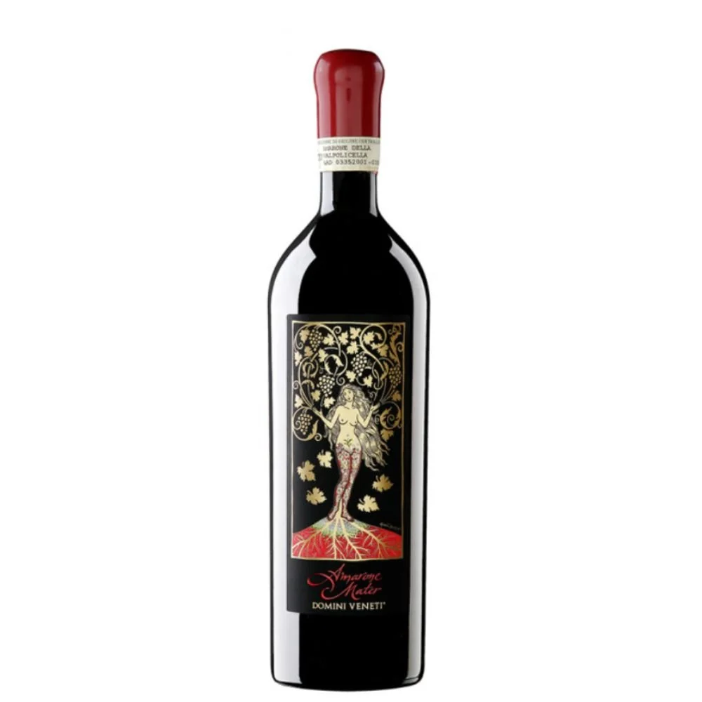 Domini Veneti Amarone della Valpolicella Classico Mater 2017 0,75l 17%