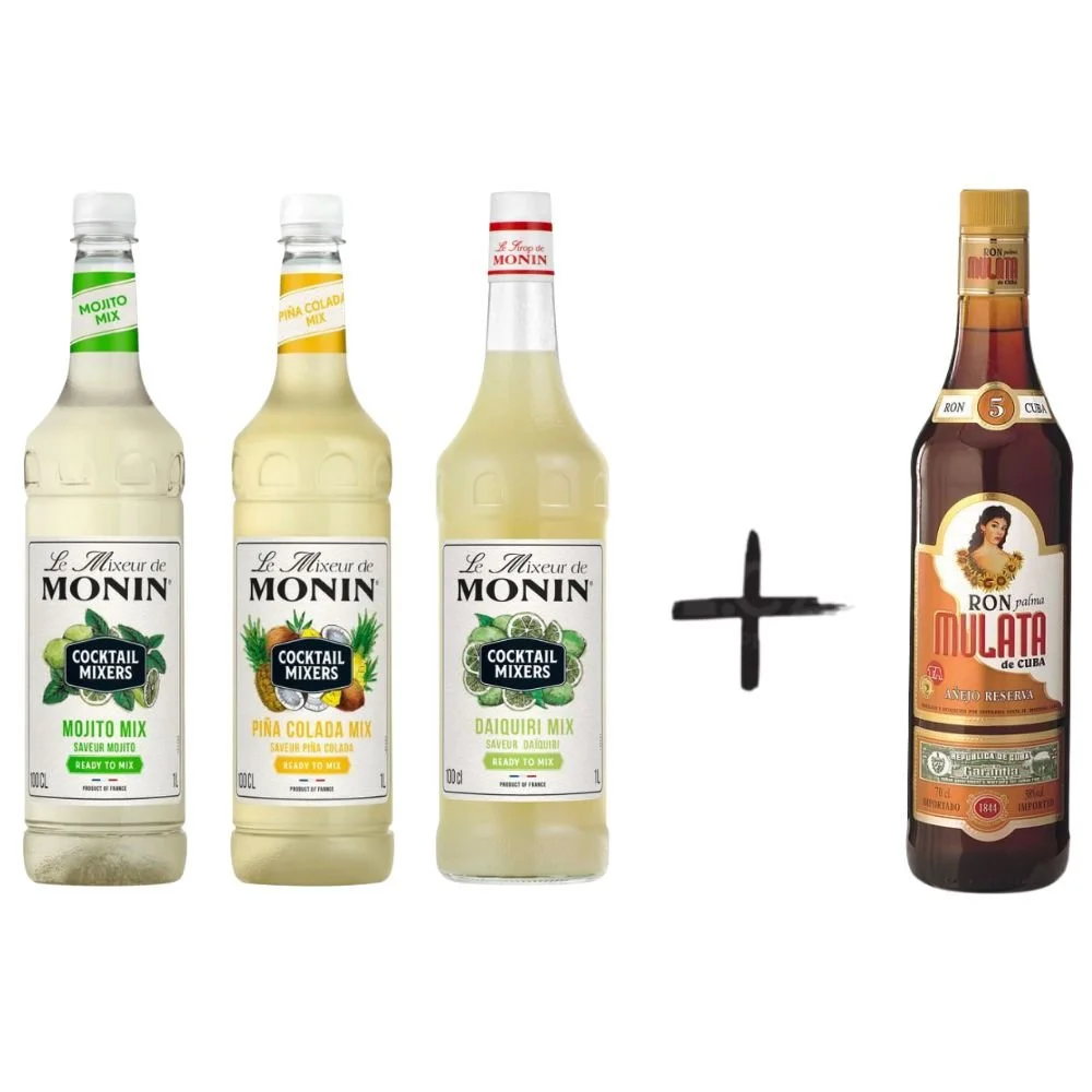 Monin LeMixeur III 1l 38%